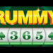 Rummy 365 apk
