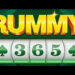Rummy 365 apk
