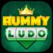 Rummy ludo game